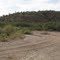 Road up Tucson Wash, W of Mammoth, AZ