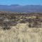 Desert grasslands near Arizona Trail on E side of Oracle State Park between Oracle and San Manuel, AZ