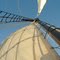 Sail