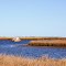 VIRGINIA: GLOUCESTER COUNTY: view from the east end of Maryus Road: abandoned fishing boat