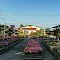 Charlie's Produce & Nursery, York County, VA.