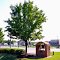 VIRGINIA: YORK COUNTY: GRAFTON: Grafton Baptist Church, 1301 Old York-Hampton Highway (S.R. 634) cemetery 2
