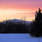 WINTER PASTELS