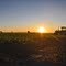 Tractor sunrise