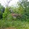 An old house on Falkland Road in Halifax County, VA
