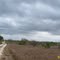 Lower Rio Grande Valley National Wildlife Refuge