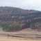 Oil Creek Fire Aftermath