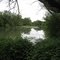 Putah Creek
