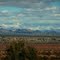 Golden Shores and Snowy Hualapai Mountains