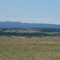 Pronghorn off Sourdough