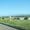 Sheds near Belle Fourche