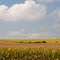 green county country