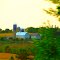 Green County Dairy Farm