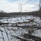 frozen swamp and beaver lodge on potomac run