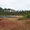 Katie Lake