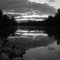 Reflections