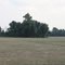 Fields in KY