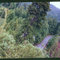 old growth redwood tree sit, freshwater watershed 2003