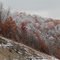 Near Elkins, WV 10-2011