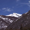 Bear Creek Horn Opener