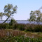 Eagle Lake