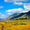 Coming into McGill, Nevada