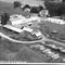 Weldonian Dairy