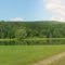 Gloria's Pond