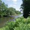 Genesee River, near Belmont, NY