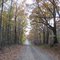 Beautiful Country Road