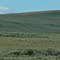 Pronghorn on Oyster Ridge