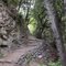 Trail to the Falls - Monrovia Canyon Park