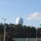 Newberry Egg