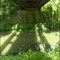 Roadbridge over C&O Canal