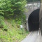 Brush Tunnel