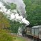 No 734 on Helmstetter's Curve