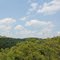 Allegheny Mountains, Maryland (USA) - June 2010