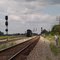 Signals Galore!!!