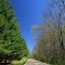 Stoney Creek Road, Scioto Trail State Forest and Park