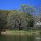 Caldwell Lake Gazebo, Scioto Trail State Forest and Park