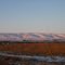 Beezley Hills