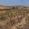 Sheep Canyon Road