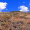 Beezley Hills, Ephrata WA