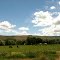 Graze Land