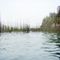 Weir, used to catch herring