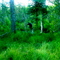 Moose