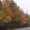 fall