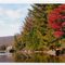 Fall Foliage