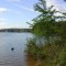 Piney Run Park, 30 Martz Road, Sykesville, MD