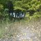 Wolden Park trail